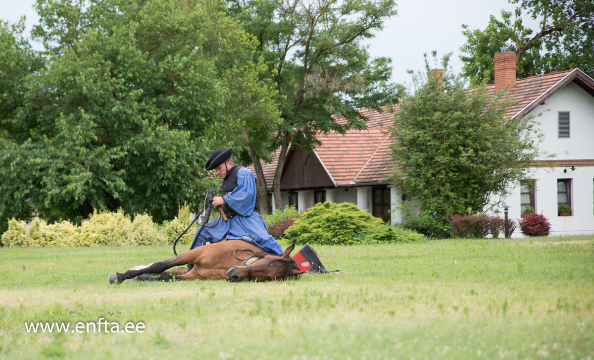 EFTC 2016 in Hungary